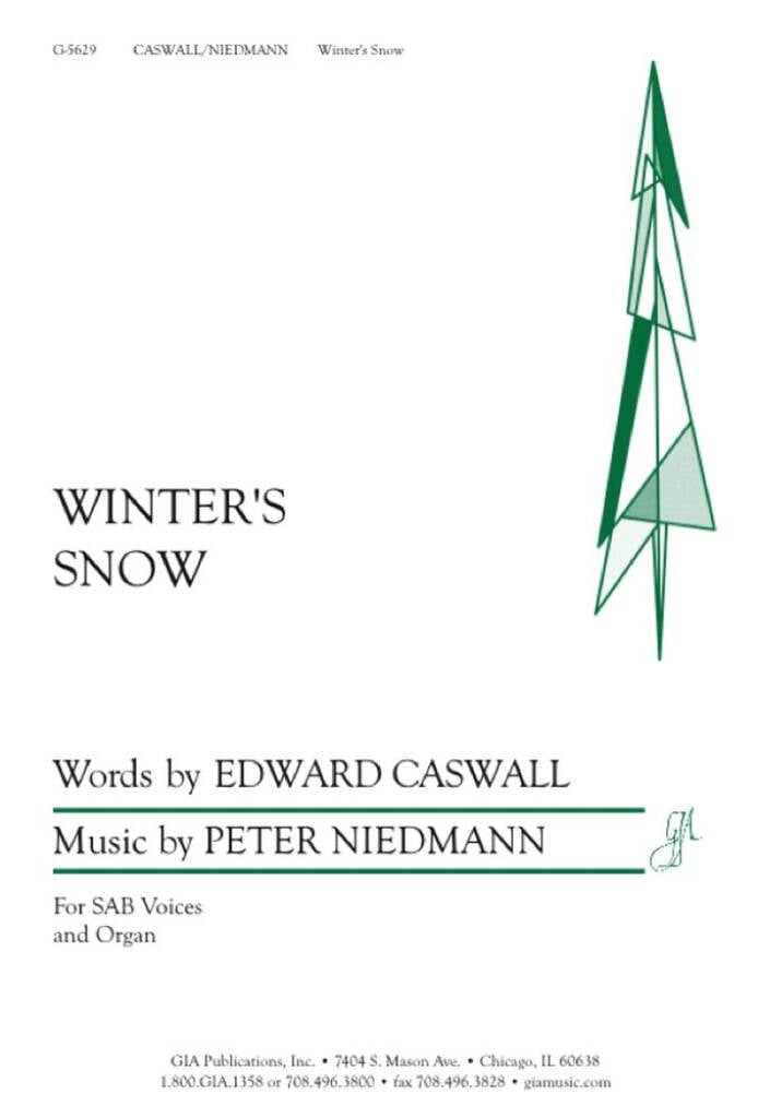 Winter's Snow